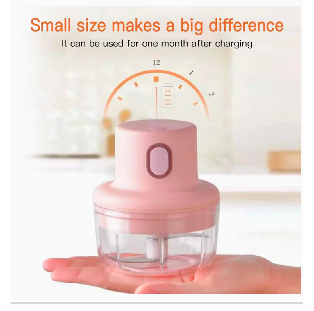 KolorFish Electric Mini Garlic Chopper 250ml Electric Vegetable Chopper